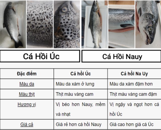cá hồi nauy và cá hồi úc