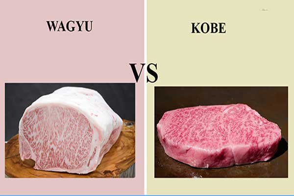 Bò Wagyu Và Bò Kobe: Sự Khác Biệt Và Lựa Chọn Tốt Nhất