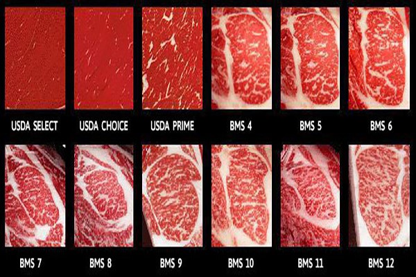 thịt bò wagyu và Kobe
