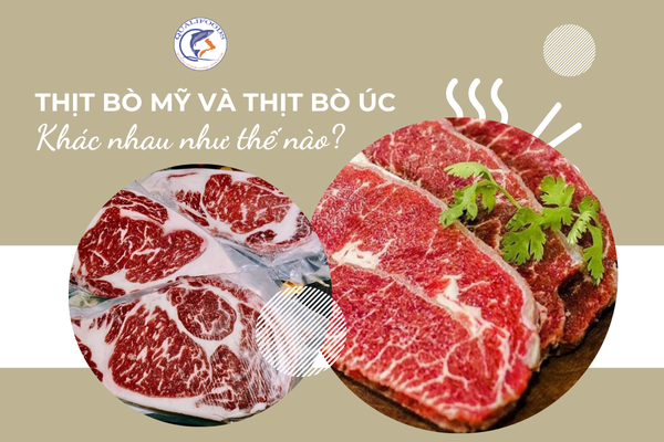THỊT BÒ MỸ VÀ THỊT BÒ ÚC KHÁC NHAU NHƯ THẾ NÀO?